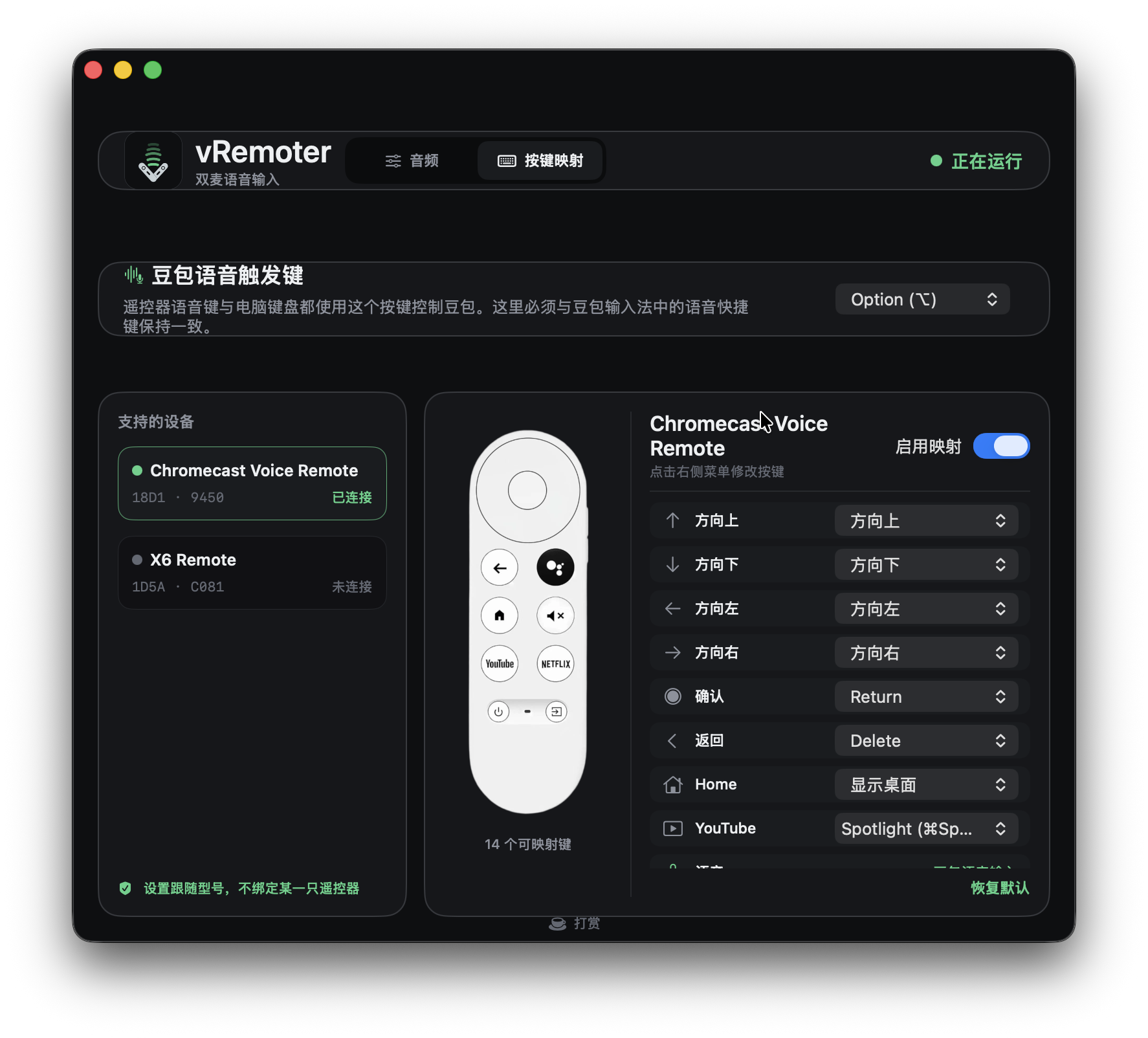 Chromecast Voice Remote 按键映射界面
